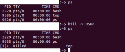 ps and kill commands on Terminal in Ubuntu