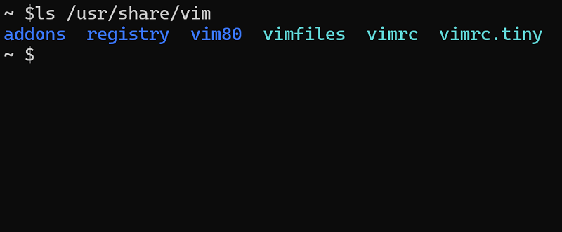 写真：vimの関係ファイル名の確認